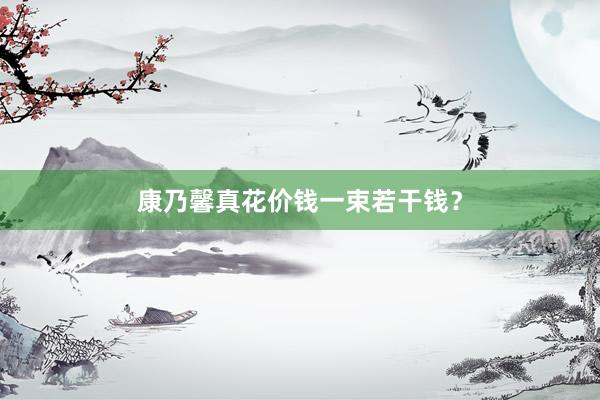 康乃馨真花价钱一束若干钱？