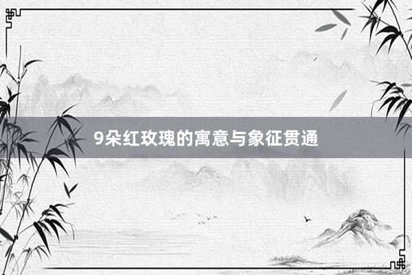 9朵红玫瑰的寓意与象征贯通