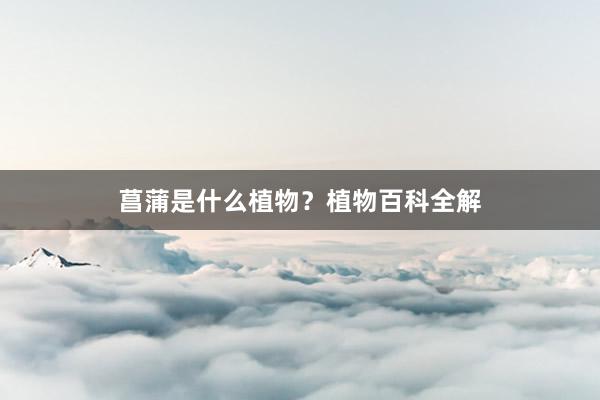 菖蒲是什么植物？植物百科全解