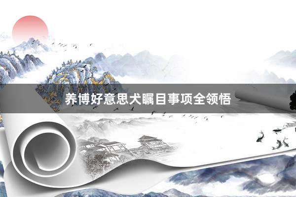 养博好意思犬瞩目事项全领悟