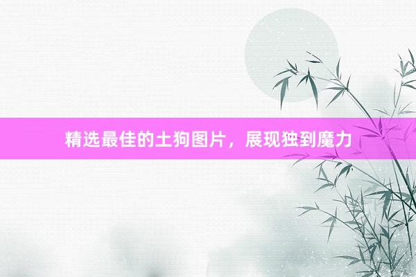 精选最佳的土狗图片,展现独到魔力